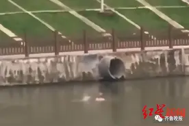 下河救狗的16岁男孩确认溺亡，家属发声：系家中独子图片