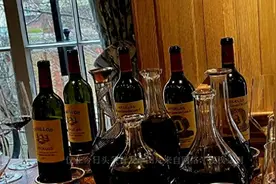 央视主持人姜丰被指变成酒鬼 一天喝5瓶万元的洋酒 离婚后久居英国图片