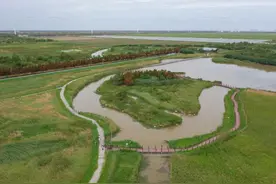 “萌萌”的鳄鱼，在崇明就能看到图片