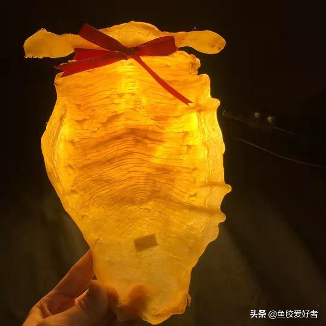 北海花胶 斗湖花胶 2025年北海鱼胶和斗湖鱼胶哪个好