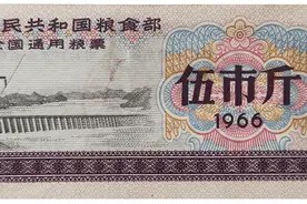 恼人的粮票图片