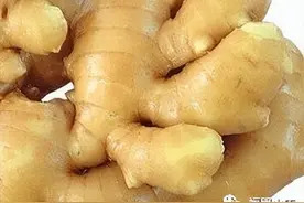 药食同源：生姜图片