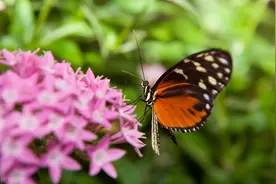 救救我，救救我图片