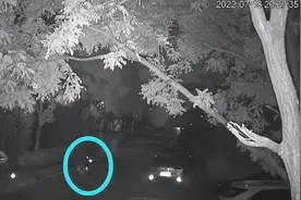 孩子骑山地车过减速带前轮脱落摔掉门牙，设计是否存缺陷？图片