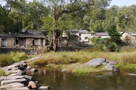 俗语：不怕屋后水斜流，就怕门前鸡鸭头，啥意思？鸡鸭头指啥？图片