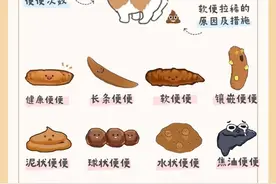 狗狗便便健康自查，基础知识要知道图片