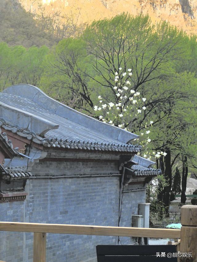山西壶关澳涞山庄，凭什么获得“中国最美山庄”桂冠？