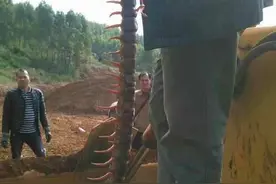 蜕皮一次长两节，蜈蚣到底能长到多大？云南真有1米长的红龙吗？图片