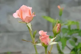 别人对你的态度，取决于你自己！别不信图片