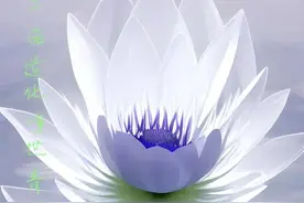 上古洪荒宇宙四大青莲至宝图片