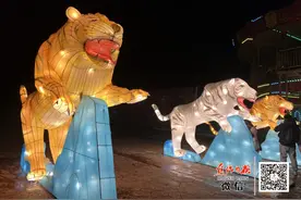 焦作承享欢乐世界新春灯会1月28日正式开园图片