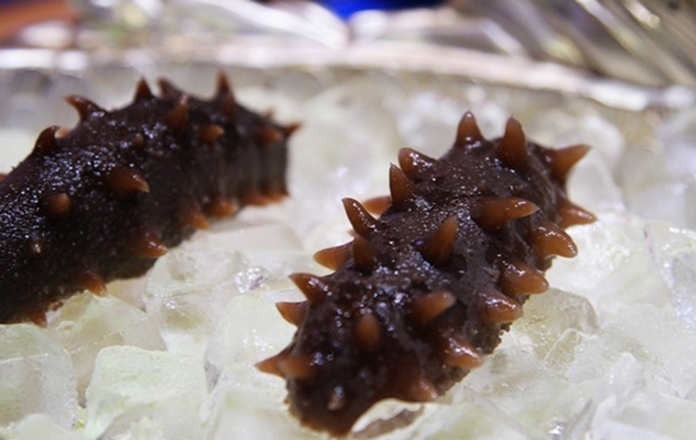 在什么地方能买到正宗的海参 2026年哪里可以买到正宗的海参