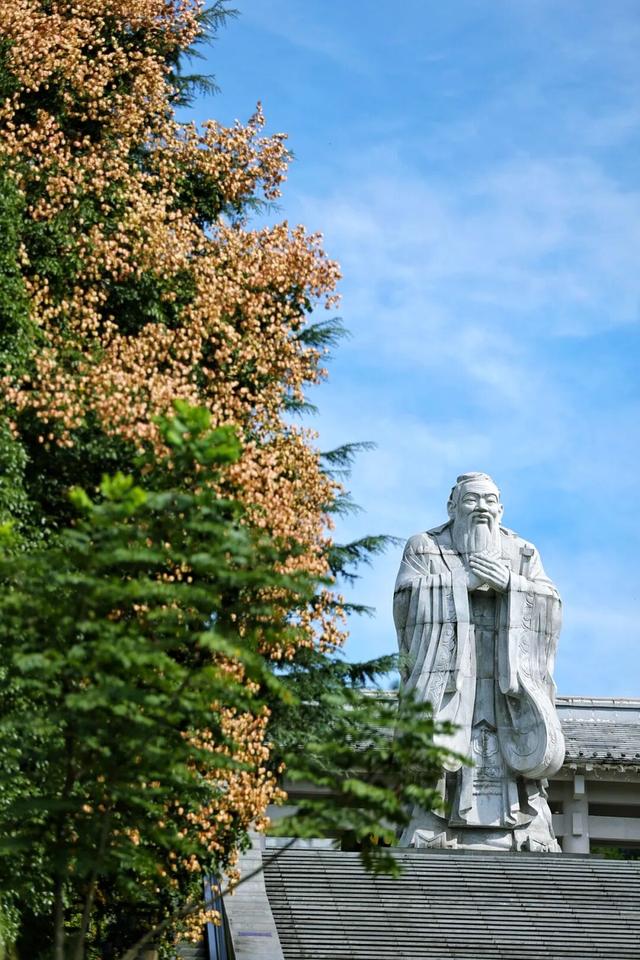 【图集】栾树斑斓映家和 孔学堂邀您共赴重阳敬老之约