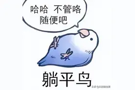 “没有升级，装什么大尾巴狼”红米K40S体验报告图片