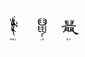 说文解字：十二生肖“鼠”图片