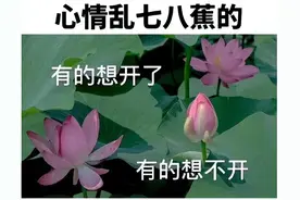 女子嫌公厕马桶脏跌伤进医院，坐着比蹲着脏？如厕时被水溅到会得性病吗？图片