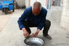 做了上门女婿的儿子，突患睪丸癌，无良的岳父岳母，做法令人不齿图片