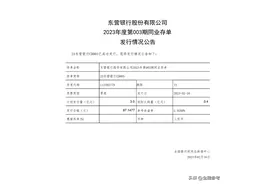 东营银行计划发行3亿同业存单 实际认购0.4亿图片