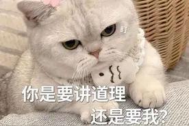 可爱表情包大全整理分享图片