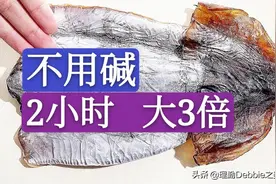 如何快速泡发干鱿鱼墨鱼？别用碱水和清水，仅泡2小时增大3倍图片