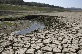 美国最大水库因旱水位骤降，湖底惊现多具藏尸图片