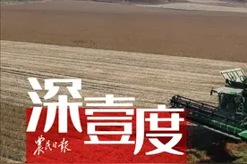 北移的东北大豆种植带图片