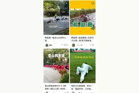 鳄鱼爬、猫爬、毛毛虫爬……听说，现在流行“爬行养生”图片