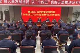 省建材集团公司党委召开巡察玉山万年青公司党委情况反馈会图片