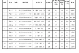 新增、取消城乡居民最低生活保障、特困供养对象结果的公示图片
