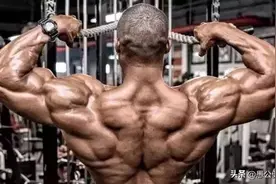 健身顺序如何排？五分法训练周循环这样做图片