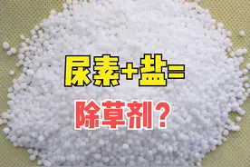 尿素加盐能当除草剂？除草效率翻倍？4点原因，看看到底咋回事？图片