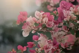 人生需要富养，予一半烟火，谋生活，许一半诗意，得清欢图片