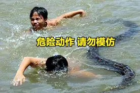 1996年，海南一农夫救下一条小蟒蛇，没想到蟒蛇竟留下报恩九年图片