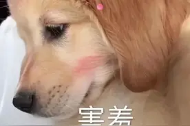 18禁の成人小玩具！让你爽到飞，越玩越上瘾图片