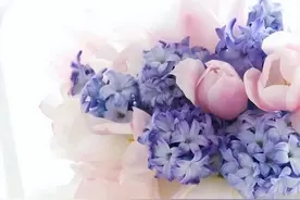 很体面，善于“装傻”的星座，做人留有三分余地，不主动驳人面子图片