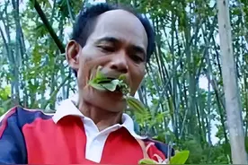 重庆一男子吃草会上瘾，34年吃了40吨草比肉还香，为什么会这样？图片