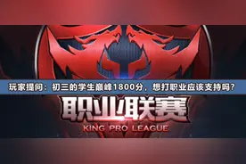 家长求助：“我孩子是荣耀王者1860分，这水平能打职业吗？”图片