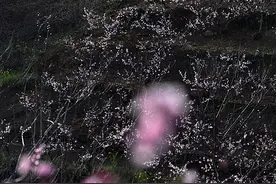 「散文欣赏」国庆假日我冲上了业九图片