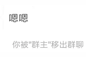 表情包：将"你"移出了群聊图片