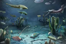 寒武纪大爆发的新化石，来自临沂的这座“宝山”图片