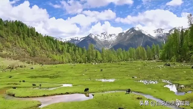 熊猫：真实存在的上古恐惧，为什么只有人类觉得大熊猫很可爱？