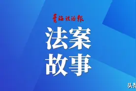 宠物电梯内咬伤人引纠纷 法官：宠物饲养人应当承担侵权责任图片
