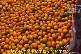 收费员因橘子有黑斑拒让走绿通，司机最终无奈付费，官方介入回应图片