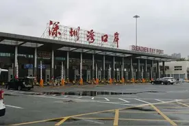 8日起深港口岸有序恢复旅检正常通关图片