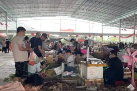 三亚：蔬菜和肉类供应充足、价格平稳→图片