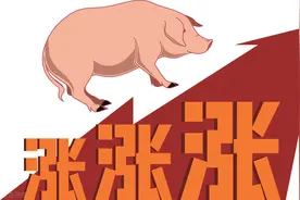 猪价风向有新变化，生猪价格全面熄火，猪价回到原点，4月5日猪价图片