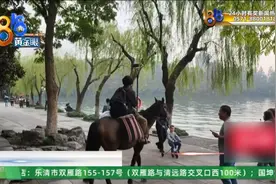 注意看：西湖边惊现骑马人图片