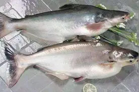 这么多鱼，究竟要怎么选？营养师：吃比选更重要，不建议4种吃法图片