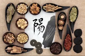 补阳先化痰，化痰先疏肝，三个中成药，化痰补阳健脾，补浑身阳气图片