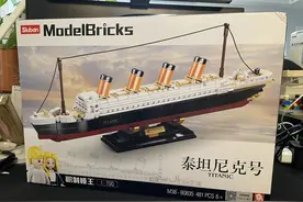 大中小号泰坦尼克任君挑，摆放空间和荷包不再烦恼图片